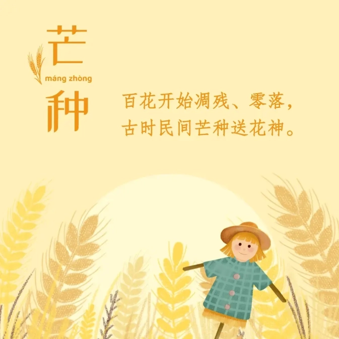 芒種送花神