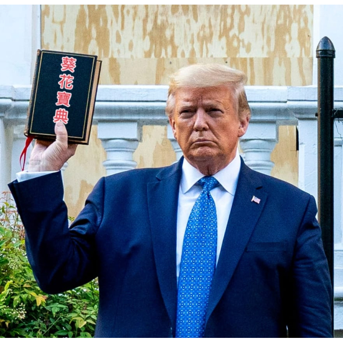 TARIFF 葵花寶典