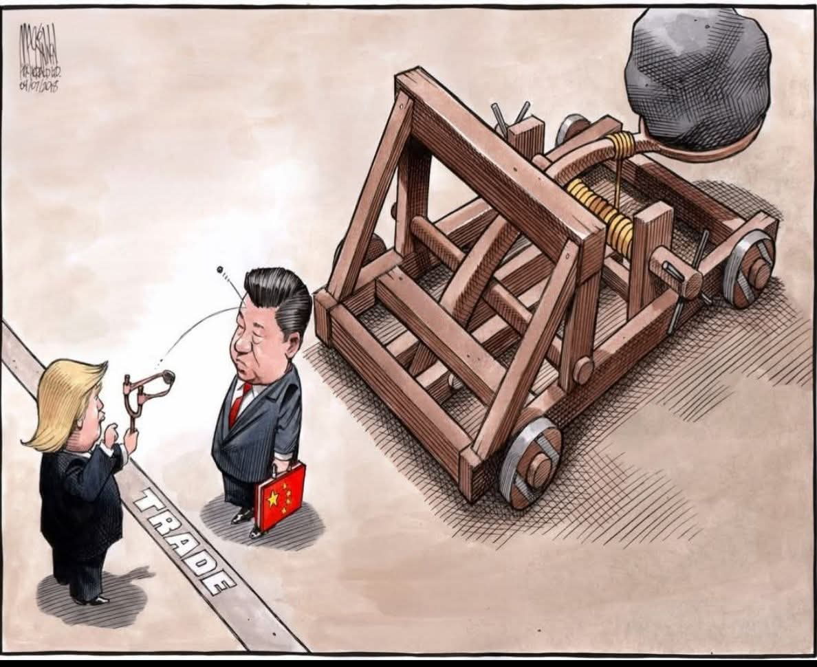 本页图片/档案 - TARIFF MACKINNOK