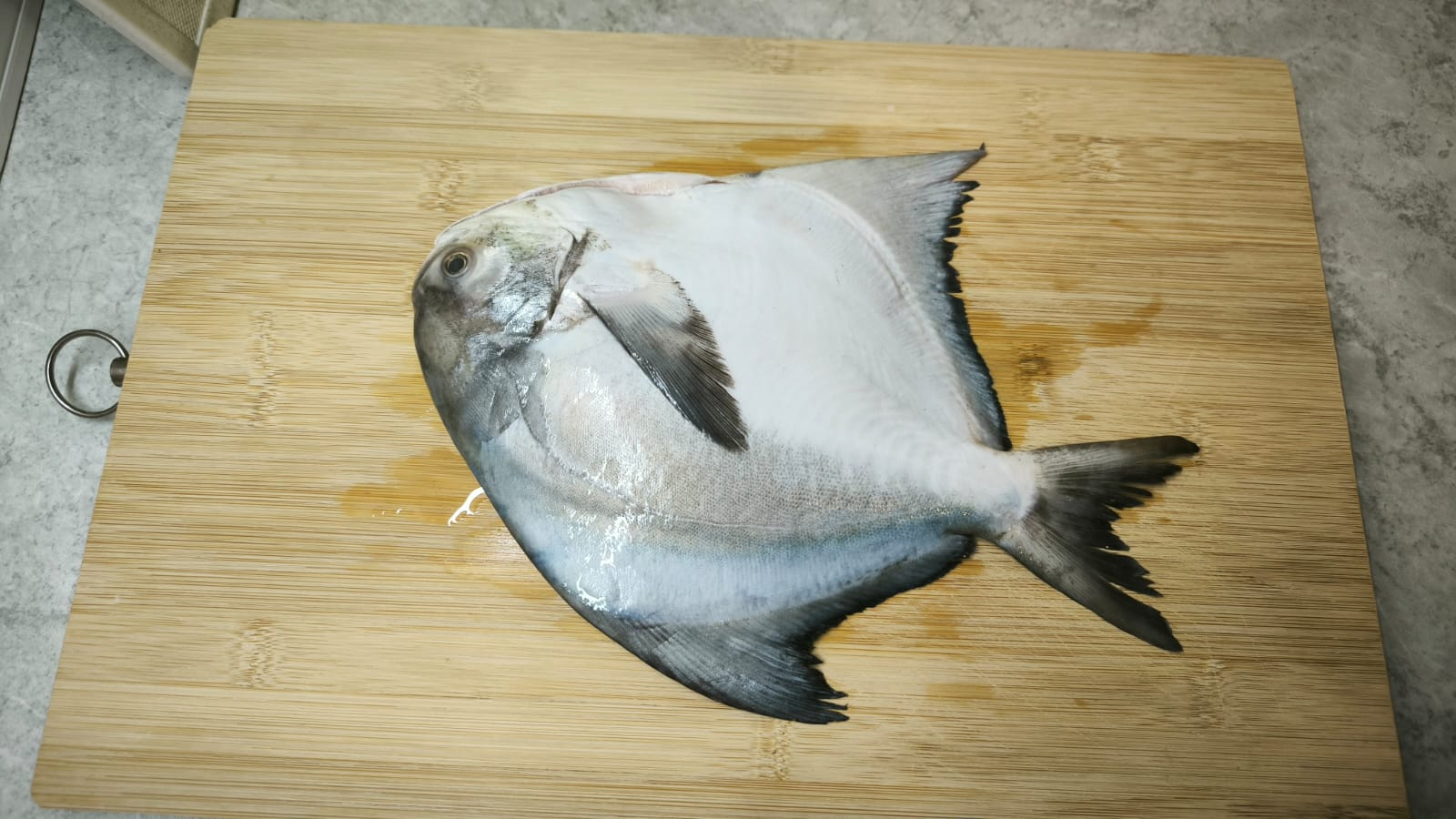 本页图片/档案 - MA FISH RAW