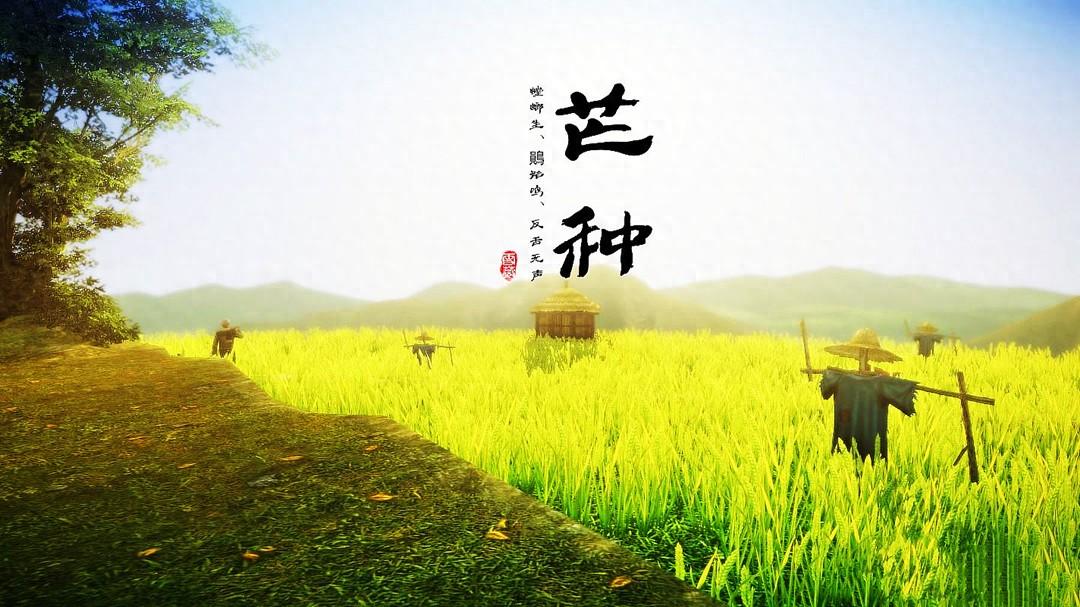 本页图片/档案 - 芒种稻草人