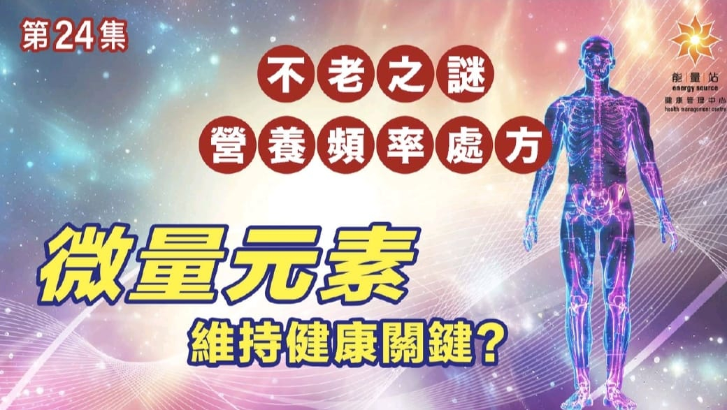 本页图片/档案 - J24