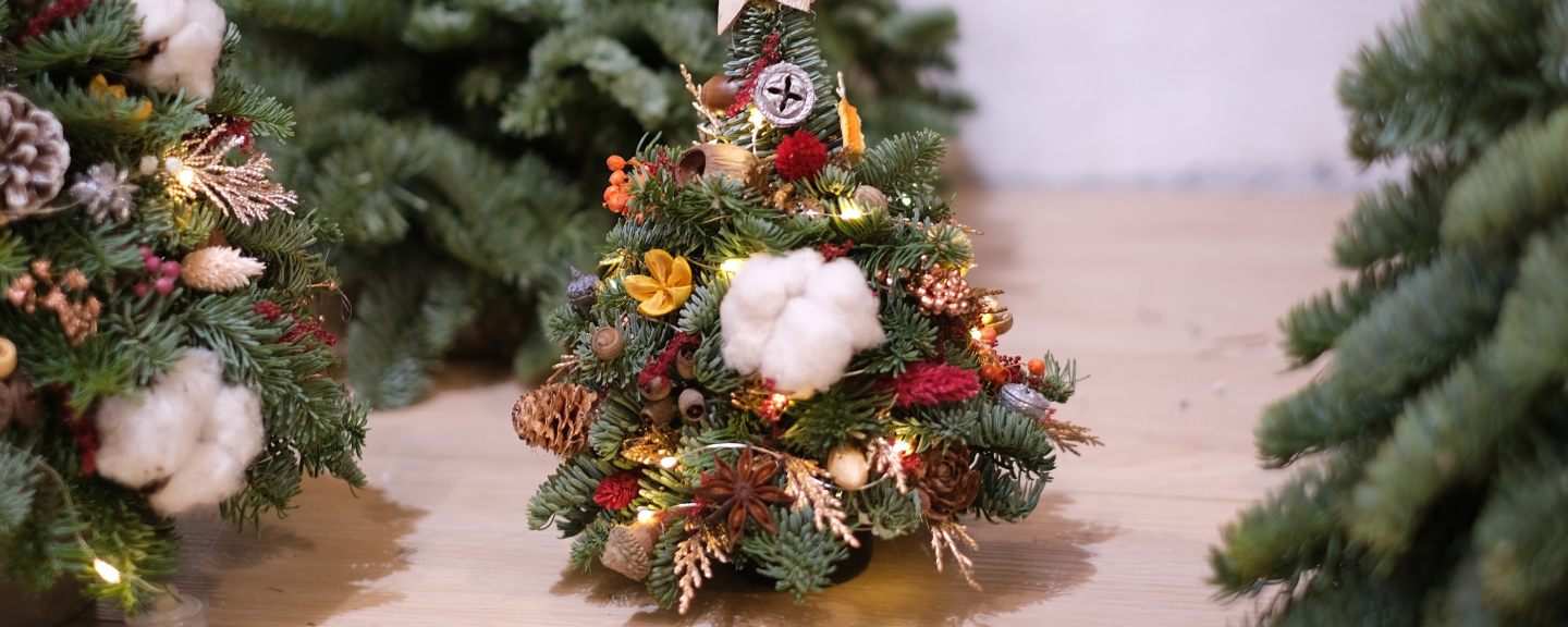 本页图片/档案 - AP_Christmas_Tree_main_20231031_0