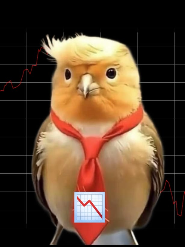 本頁圖片/檔案 - TARIFF STOCK MARKET