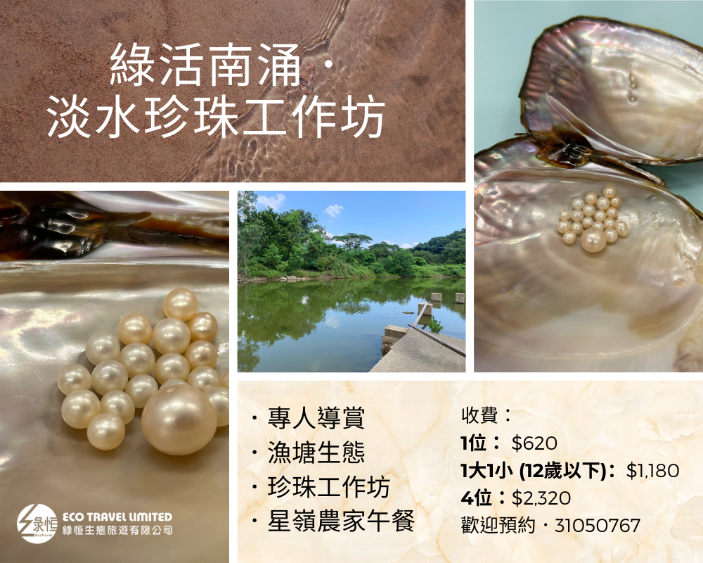 本頁圖片/檔案 - IMG_0688